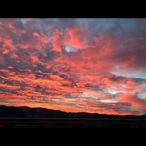 Meet your Posher, Annabelle